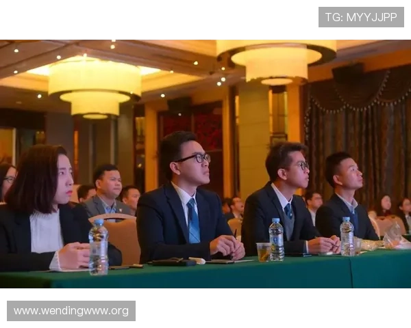 问鼎集团在社会责任方面的履行与企业形象提升策略